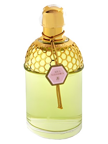 Aqua Allegoria Rosa Magnifica Guerlain