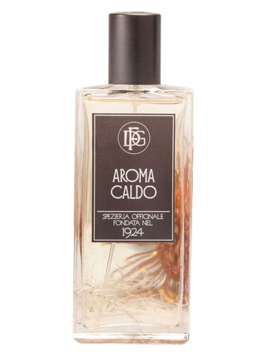 Aroma Caldo DFG1924