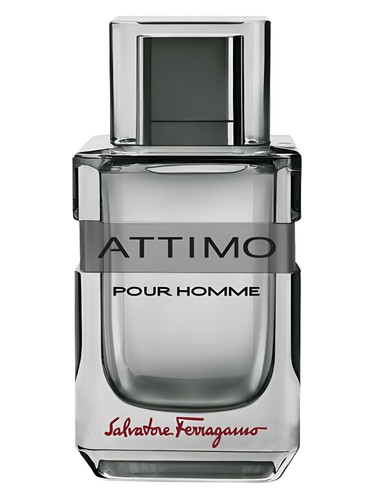 Attimo Pour Homme Salvatore Ferragamo