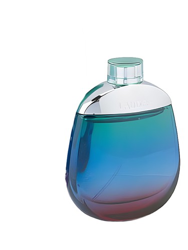 Beyond Paradise
