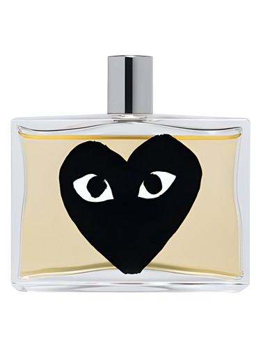 Black Comme des Garcons