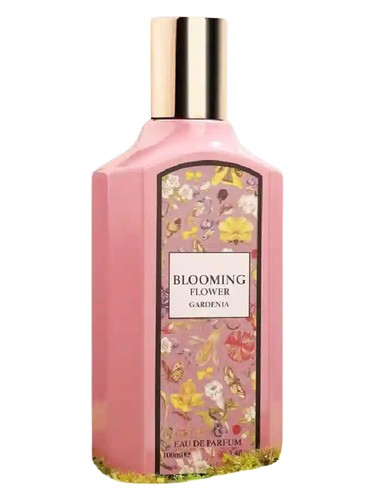 Blooming Flower Gardenia Fragrance World