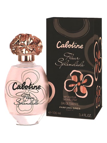 Cabotine Fleur Splendide Grès