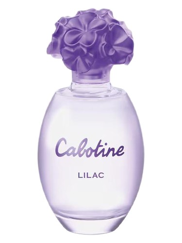 Cabotine Lilac Grès
