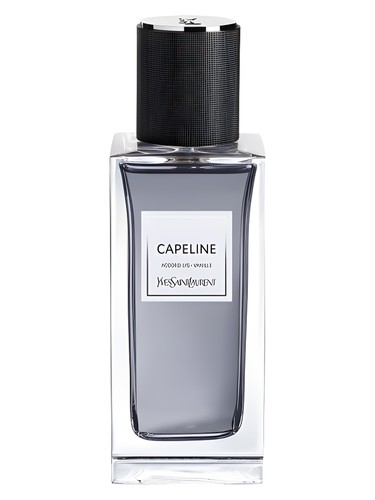 Capeline Yves Saint Laurent for women and men