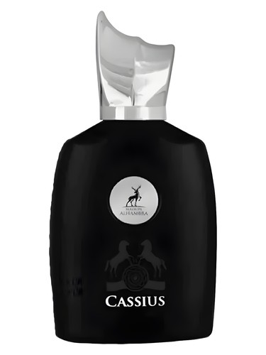 Cassius Maison Alhambra