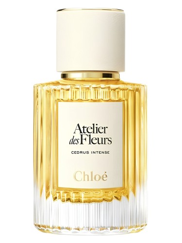 Cedrus Intense Chloé