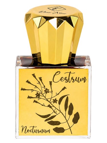 Cestrum Nocturnum Elixir Attar for women and men
