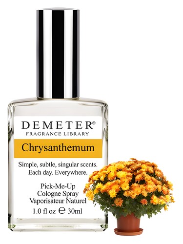 Chrysanthemum Demeter Fragrance