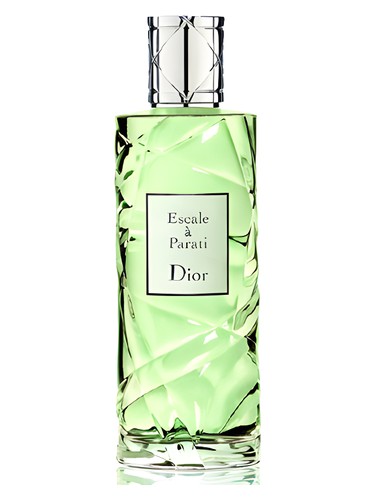 Cruise Collection Escale a Parati Dior