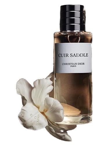 Cuir Saddle Dior