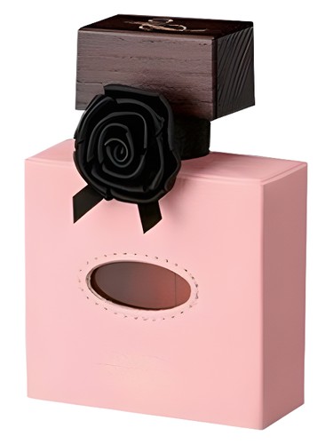 Cuir Venitien David Jourquin