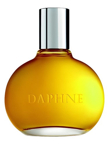 Daphne Comme des Garcons