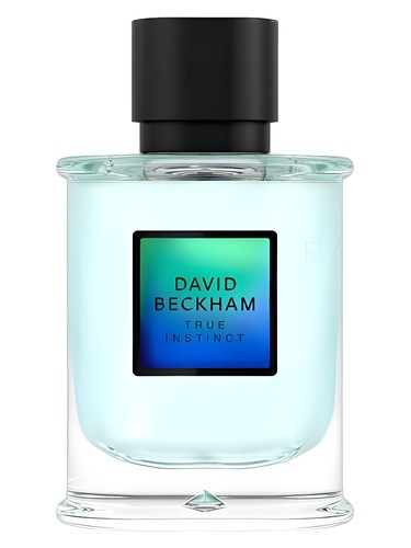 David Beckham True Instinct David Beckham