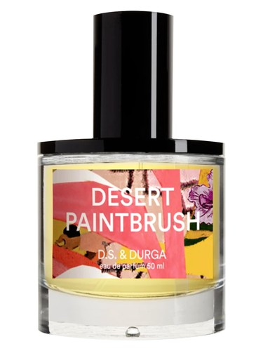 Desert Paintbrush DS&Durga for women and men