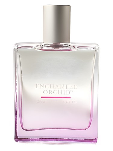 Enchanted Orchid Bath & Body Works