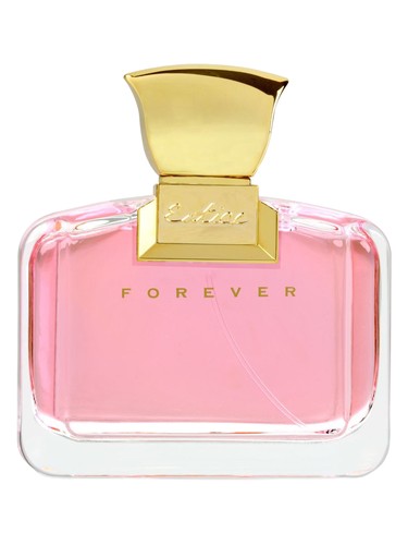 Entice Forever Ajmal