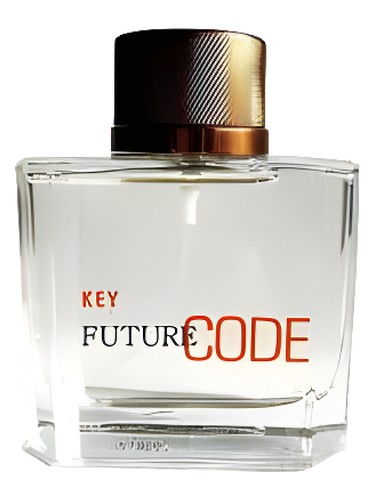 Future Code Key Dzintars