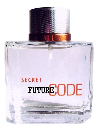 Future Code Secret Dzintars