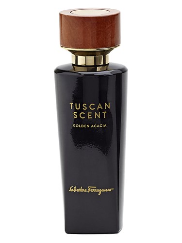 Golden Acacia Salvatore Ferragamo for women and men