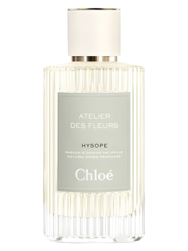 Hysope Chloé