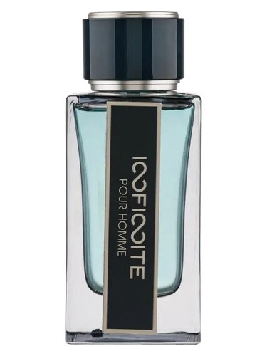 Infinite Pour Homme Fragrance World