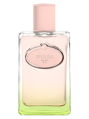 Infusion d'Iris L'Eau d'Iris Prada