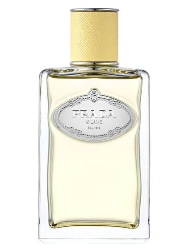 Infusion de Mimosa Prada