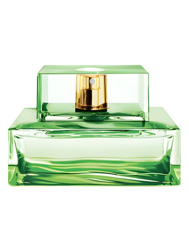 Island Palm Beach Michael Kors