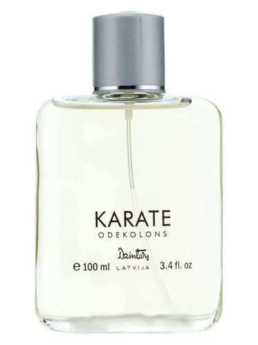 Karate Dzintars