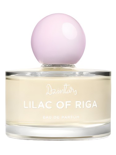 Lilac of Riga (Рижская Сирень, 2022) Dzintars