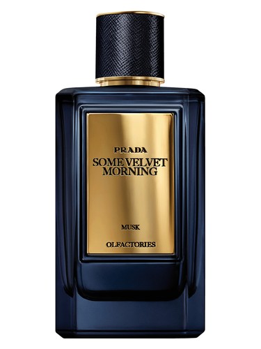 Mirages Some Velvet Morning Prada for women and men