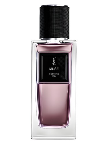 Muse Yves Saint Laurent for women and men