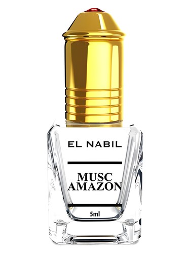 Musk Amazon El Nabil