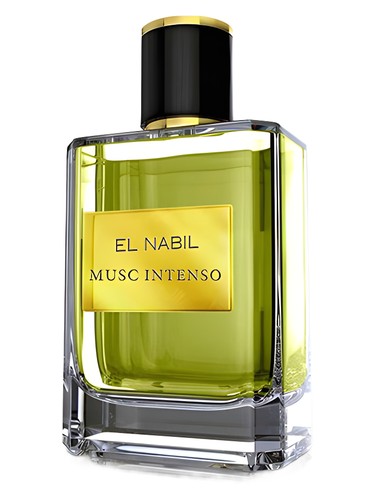 Musk Intenso El Nabil for women and men