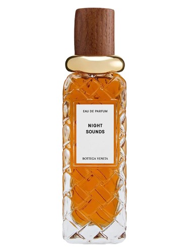Night Sounds Bottega Veneta for women and men