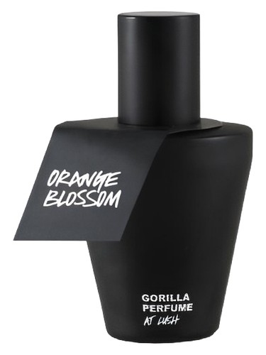 Orange Blossom Lush