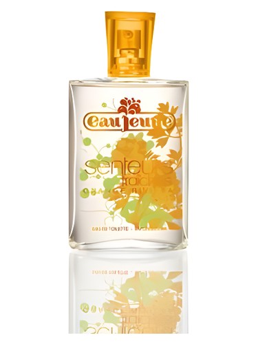 Orange Riviera Eau Jeune