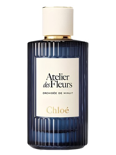 Orchidée de Minuit Chloé