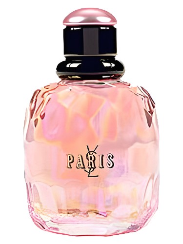 Paris Pont des Amours Yves Saint Laurent