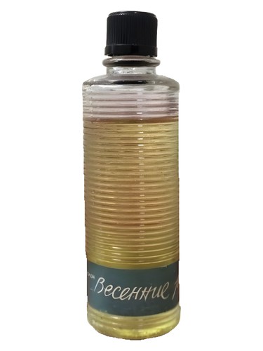 Pavasara strauti (Весенние ручьи) Dzintars for women and men
