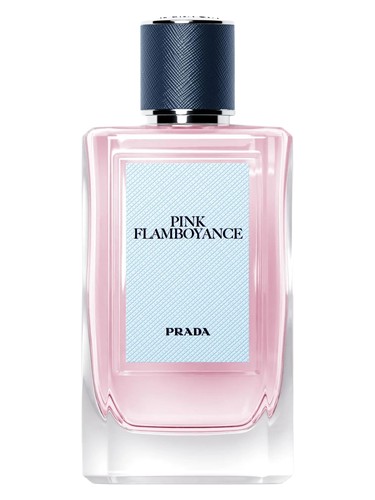 Pink Flamboyance Prada for women and men