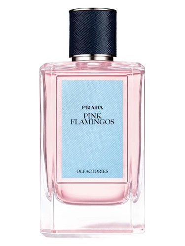 Pink Flamingos Prada for women and men