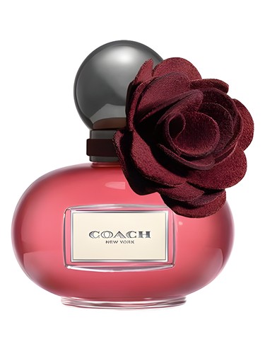 Poppy Wild Flower Coach