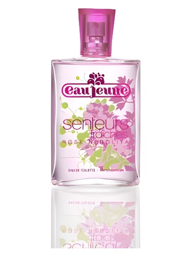 Rose Nerolita Eau Jeune