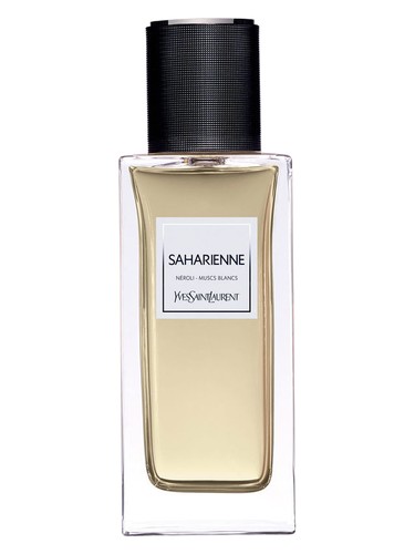Saharienne Yves Saint Laurent for women and men