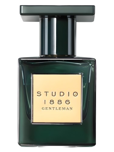 Studio 1886 Gentleman Avon