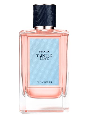 Tainted Love Prada for women and men