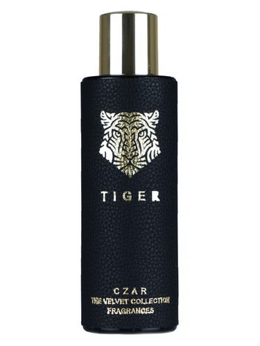 Tiger X Aslan Gülçiçek CZAR