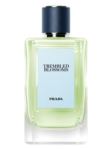 Trembled Blossoms Prada for women and men